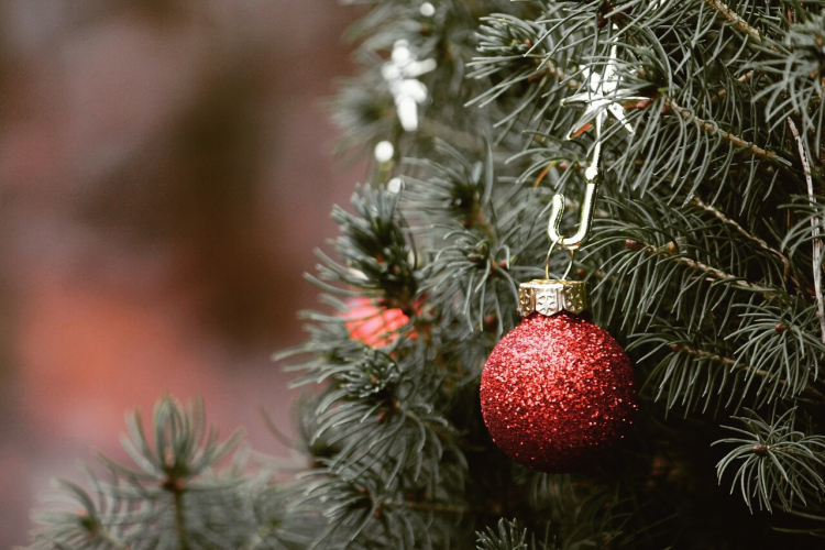Echte vs. kunstkerstbomen: wat past het best bij jou?