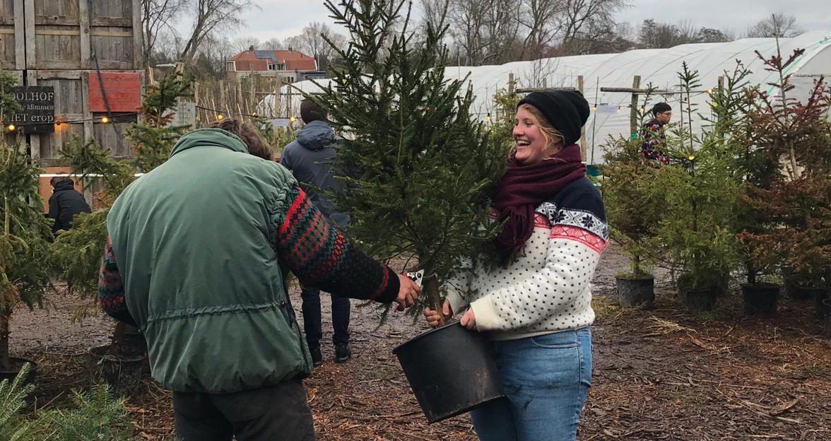 Adopteer een kerstboom
