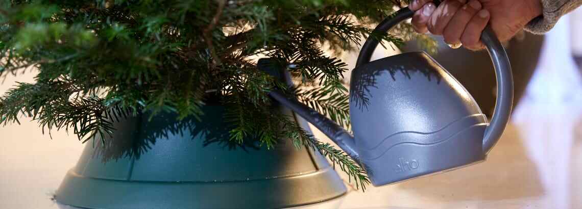 Kerstboomverzorging en -onderhoud