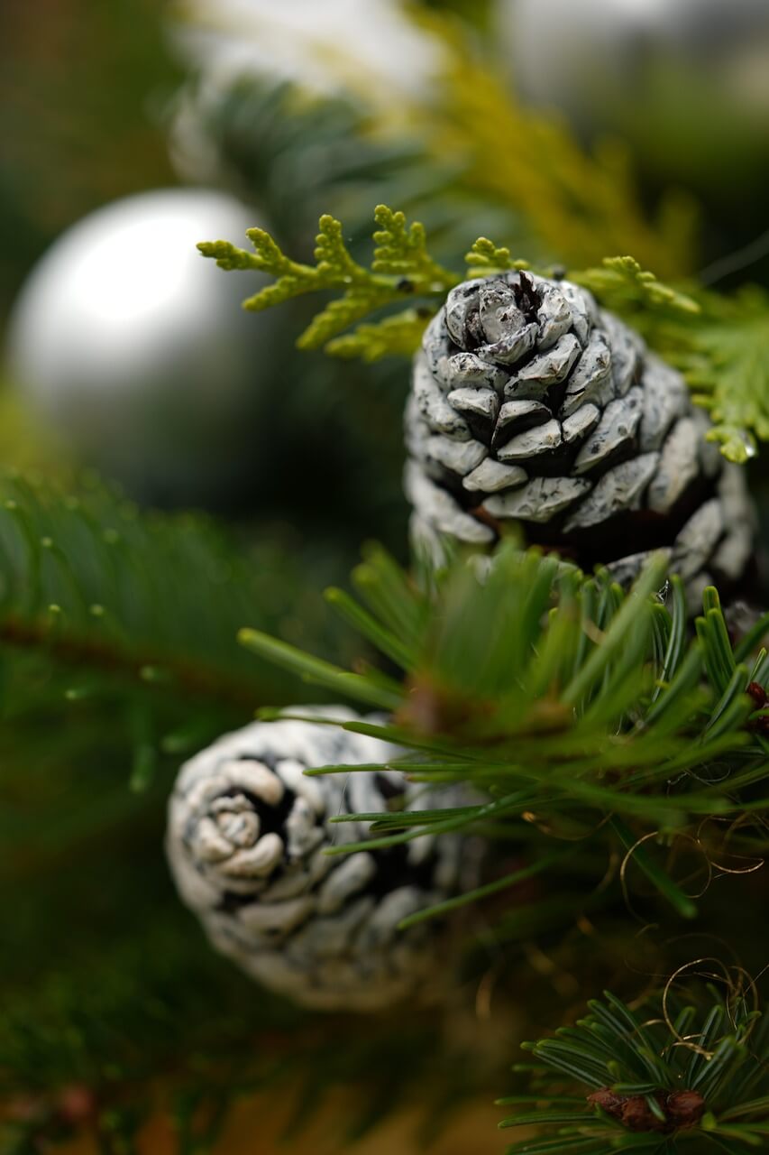 Duurzame kerstversiering: milieuvriendelijke opties en prijzen